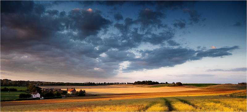 Christine Hart - Sunset Over Pond Farm.jpg